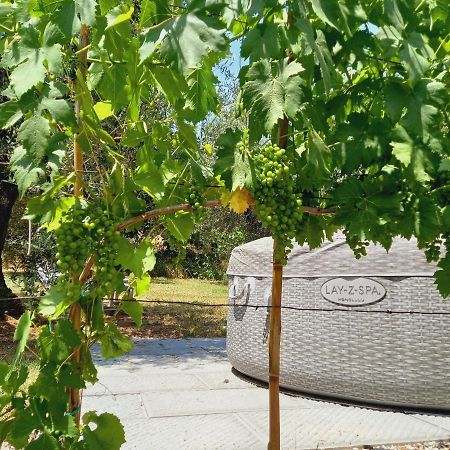 מונטה קטיני טרמה Agriturismo Fonteregia מראה חיצוני תמונה