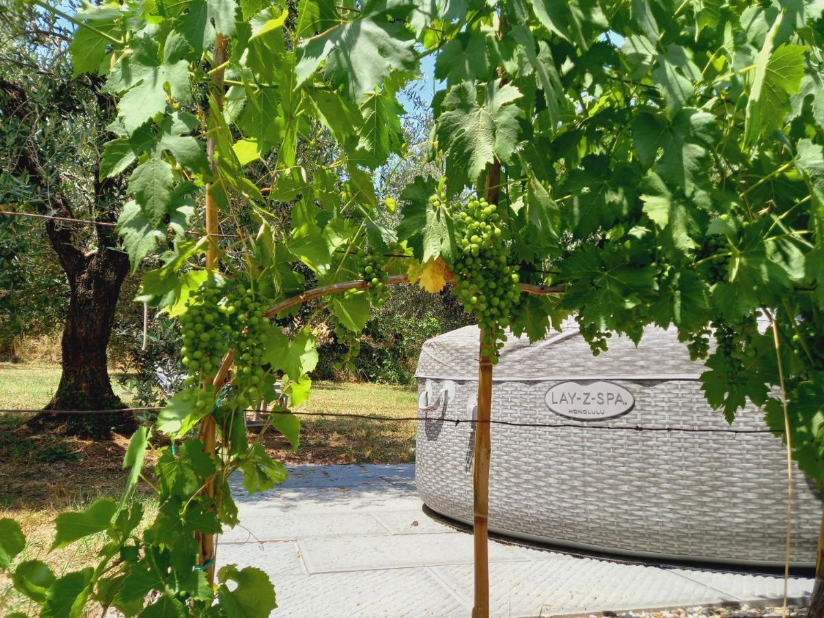 מונטה קטיני טרמה Agriturismo Fonteregia מראה חיצוני תמונה