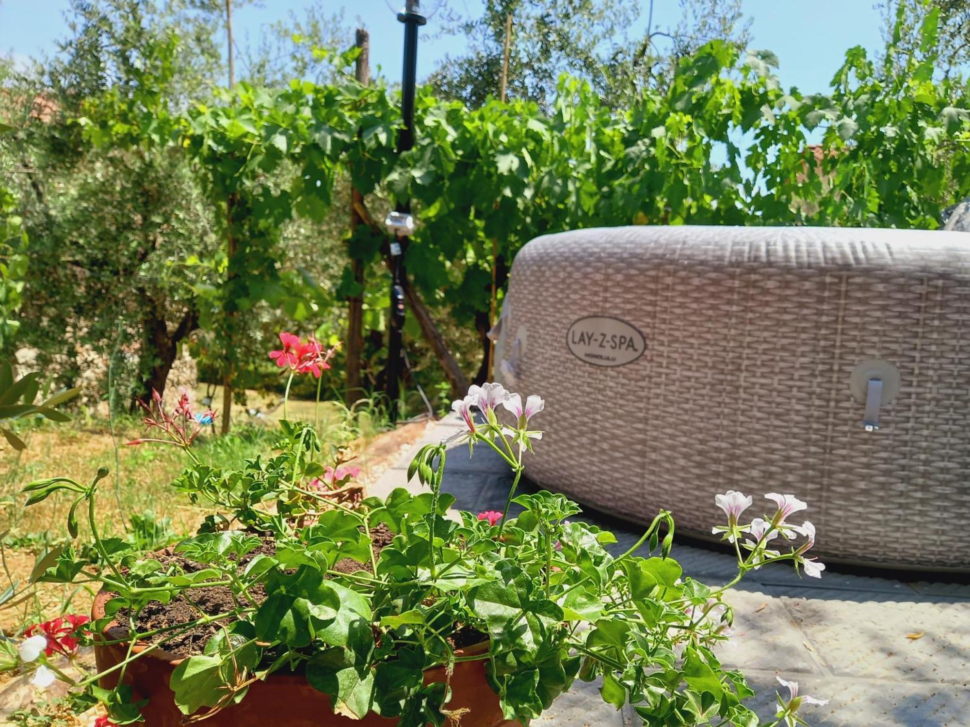 מונטה קטיני טרמה Agriturismo Fonteregia חדר תמונה