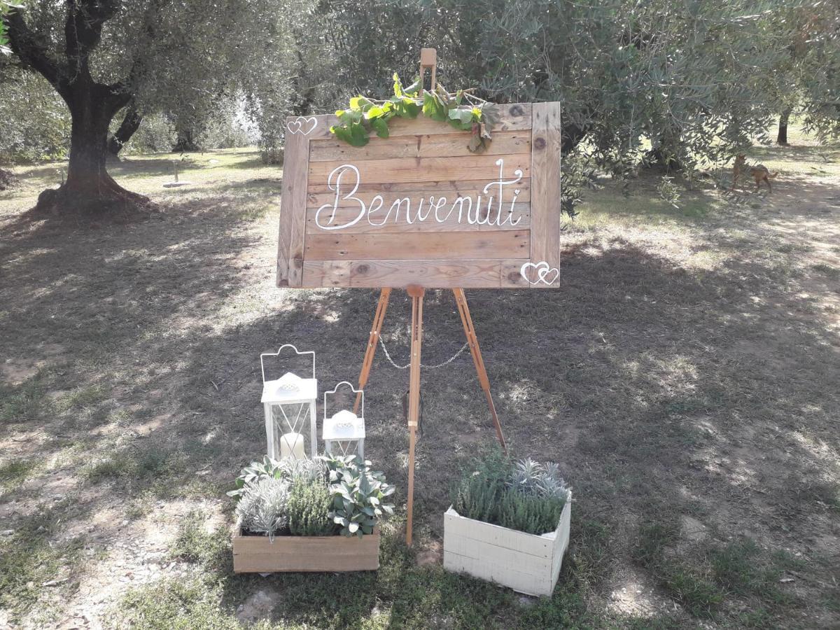 מונטה קטיני טרמה Agriturismo Fonteregia מראה חיצוני תמונה
