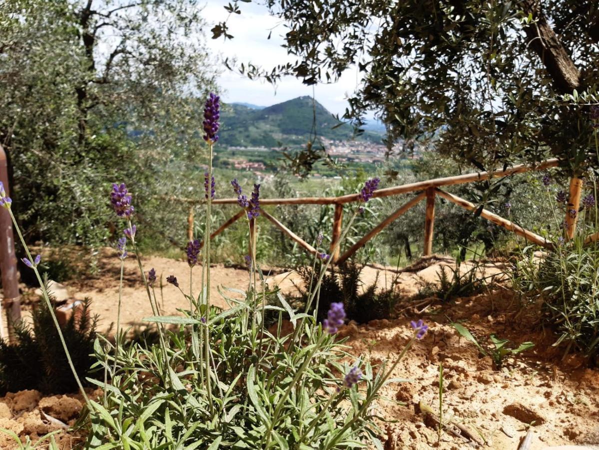 מונטה קטיני טרמה Agriturismo Fonteregia מראה חיצוני תמונה