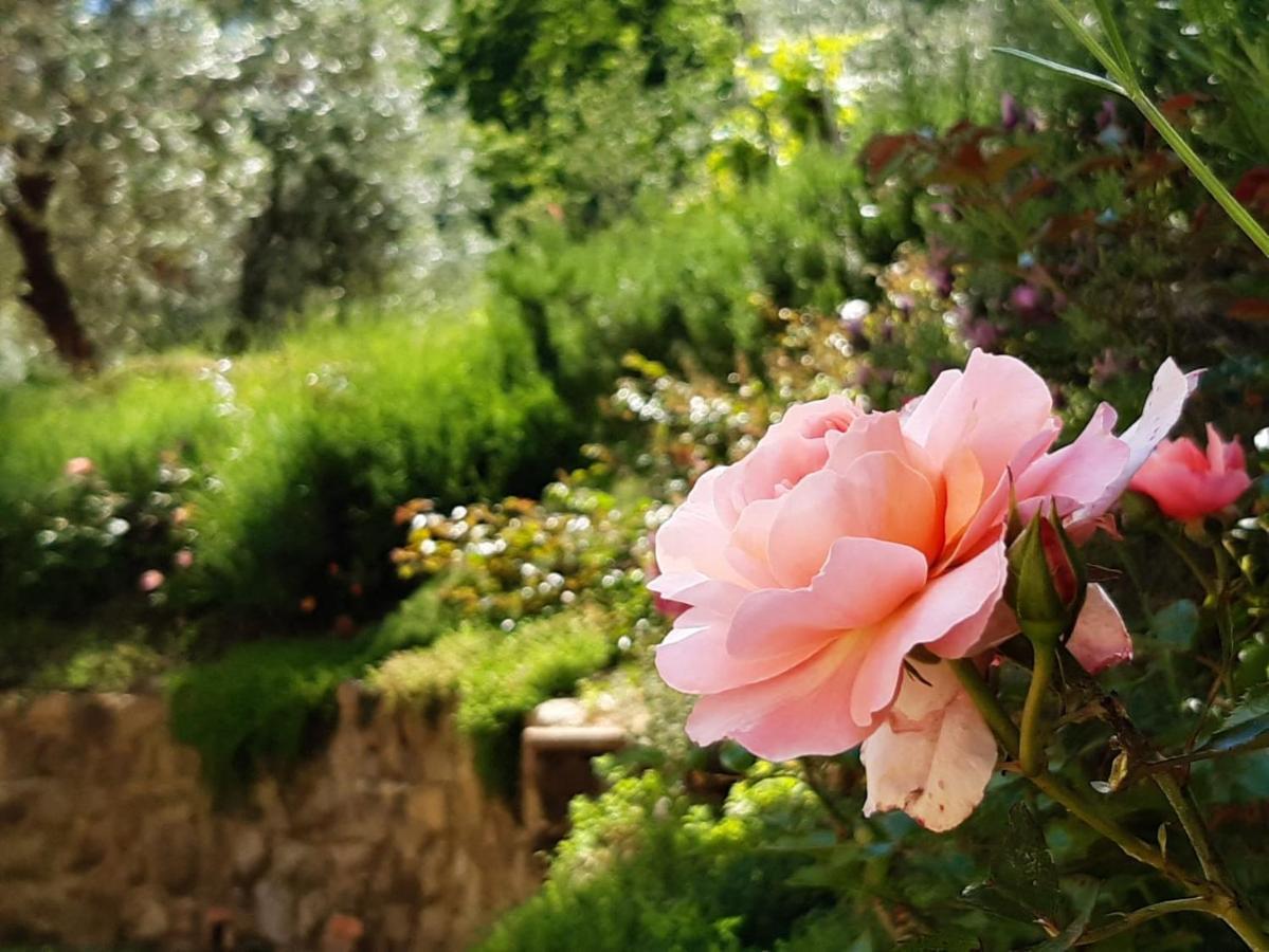 מונטה קטיני טרמה Agriturismo Fonteregia מראה חיצוני תמונה